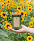 A hand holds a green glass jar candle with a cork lid and a cream label reading 'Sunflower Daze' in front of a blurred field of yellow sunflowers.
